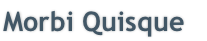 Morbi Quisque