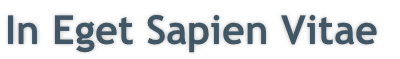 In Eget Sapien Vitae