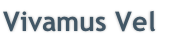 Vivamus Vel