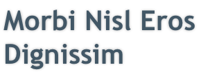 Morbi Nisl Eros Dignissim