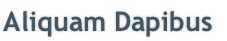Aliquam Dapibus